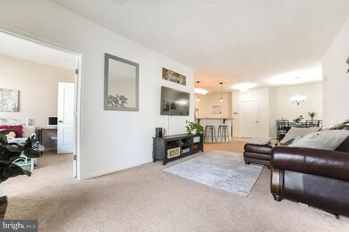 23530 F D R Blvd unit 306, California, MD 20619 - photo 3