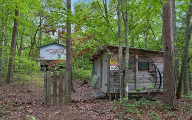 275 N Pine Rd, Ellijay, GA 30536 - photo 3