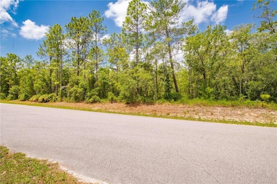 0 Mount Sparrow Rd unit MFRTB8388991, Weeki Wachee, FL 34614 - photo 4