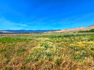 Tract 1B of COS 3917 Ekblad Rd, Hot Springs, MT 59845 - photo 2