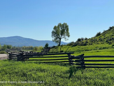 IMG_5428