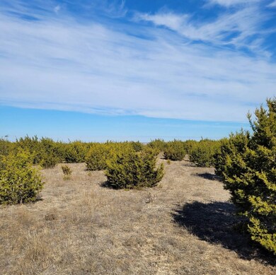 000 Private Road 16024 unit 111, Jonesboro, TX 76538 - photo 2