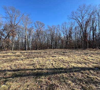 14775 Stutz St NE, Ham Lake, MN 55304 - photo 4