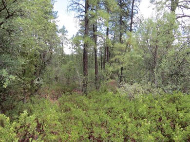 Homesite Has Variety of Trees