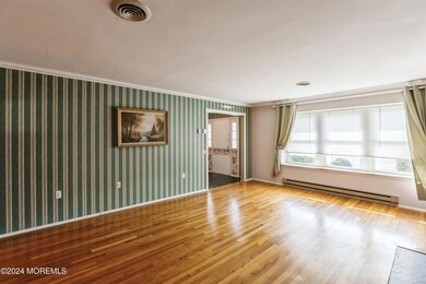 Living Room Window