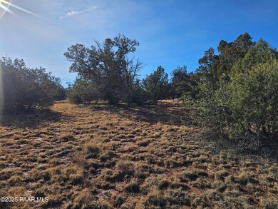 54892 N Potrero Ln, Seligman, AZ 86337 - photo 5