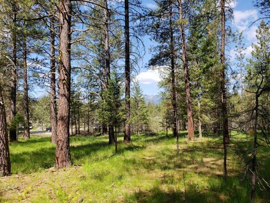 Nkn Us Highway 2, Libby, MT 59923 - photo 3