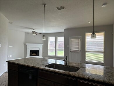 2404 Windhaven Dr, Denton, TX 76210 - photo 4