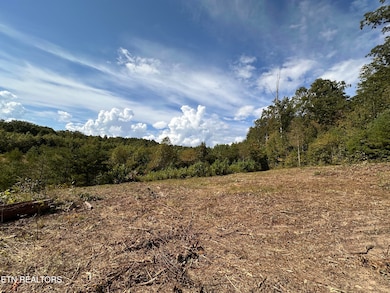 0 13 44 Ac Chestnut Ridge Rd, Allardt, TN 38504 - photo 2