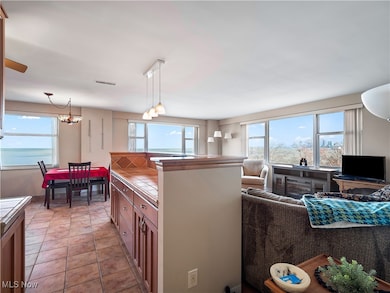 11850 Edgewater Dr unit 512, Lakewood, OH 44107 - photo 6