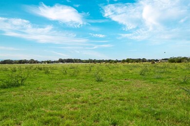12544 Highway 36 S, Needville, TX 77461 - photo 3