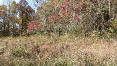 8.60ac Moss Arcot Rd, Celina, TN 38551 - photo 4