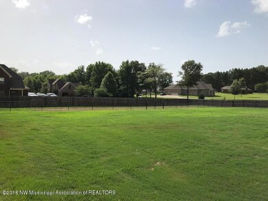 HUGE fenced backyard