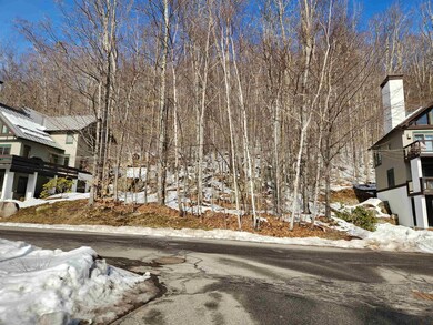 68 Westview Rd, Lincoln, NH 03251 - photo 4