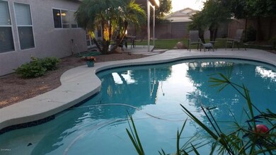 Pool & Patio