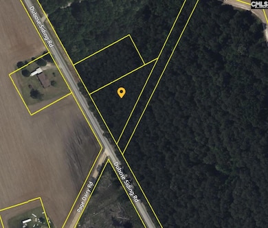 5445 Dubose Siding Rd, Sumter, SC 29153 - photo 5