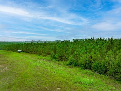 Humpback Bridge Rd, Chester, SC 29712 - photo 7