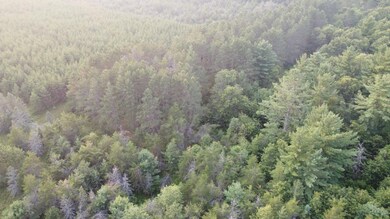 ON Pine Rd N, Tomahawk, WI 54487 - photo 5