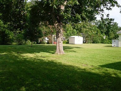 Yard/Garden.