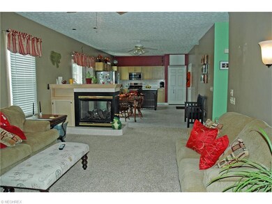 Opened 3 sides Fireplace between Kitchen & Family 