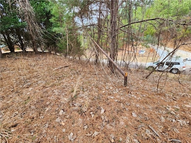 Looking down gentle slope from the top of the lot.