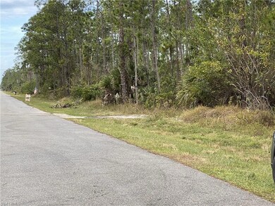 XXXX 2nd Ave SE, Naples, FL 34117 - photo 4