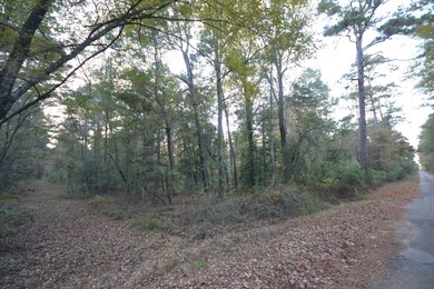 00, Buckner, AR 71827 - photo 4