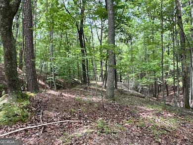 0 Super Deluxe Rd unit 10594088, Rockmart, GA 30153 - photo 5