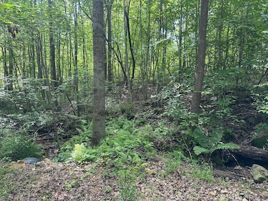 5201 Tennessee 150, Sequatchie, TN 37374 - photo 5