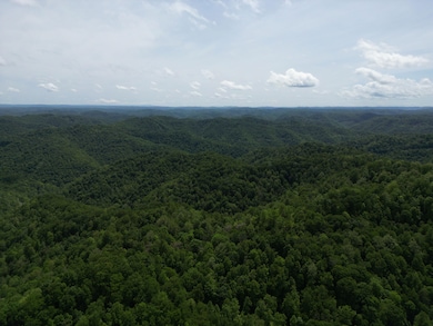 24 Border Creek Rd, Panther, WV 24872 - photo 3