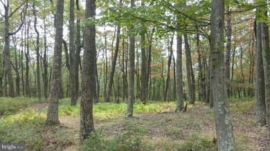 0 Top of Mountain Rd, Moorefield, WV 26836 - photo 6