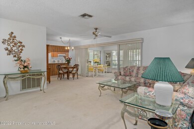 6316 Ocean Pines Ln, Spring Hill, FL 34606 - photo 7