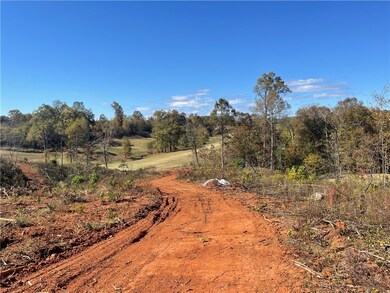 361 Springbrook Rd, Walhalla, SC 29691 - photo 4