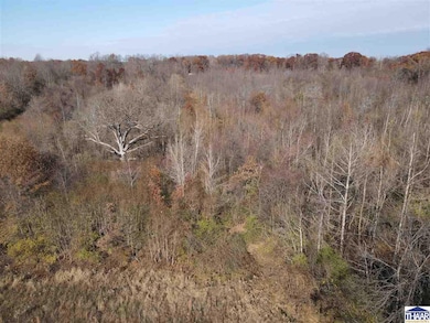 0 W Black Dr unit 108002, Sugar Creek Township, IN 47885 - photo 5