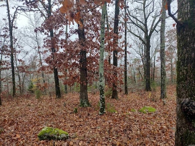 285 Rippling Shoals Ln, Melbourne, AR 72556 - photo 2