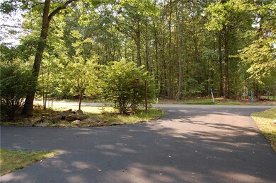 Driveway View