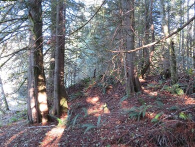 0 Wayne Rd W unit 1 18389154, Seabeck, WA 98380 - photo 5