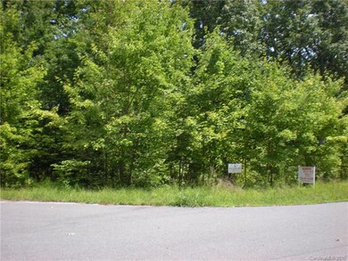 184 Lago Vista Dr unit 11, 12, & 17, New London, NC 28127 - photo 7