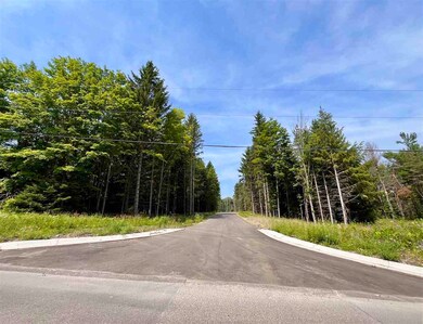 0 Bay Ridge Ln unit A-2 477659, Boyne City, MI 49712 - photo 3