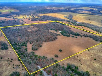 Looking from NE corner of property. (Boundary line