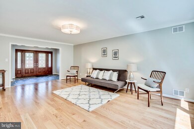 7419 Park Terrace Dr, Alexandria, VA 22307 - photo 4