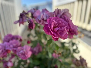 IMG_3210