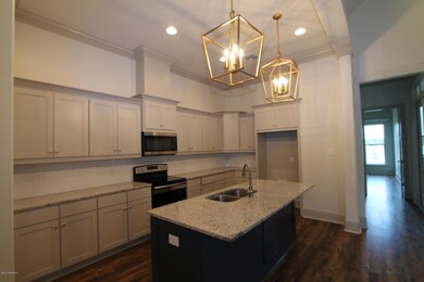 303 San Sebastian Dr, Youngsville, LA 70592 - photo 4