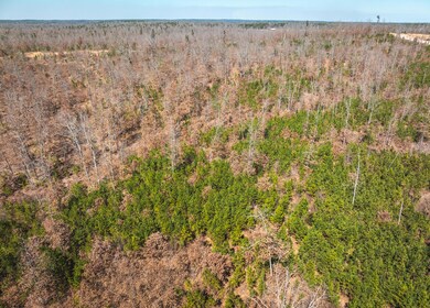 DJI_20240321134839_0141_D