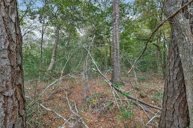 Lot 411 N Woods, Cleveland, TX 77328 - photo 6