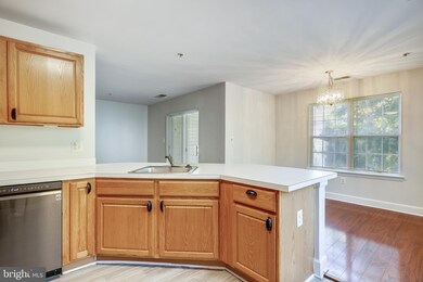 15608 Everglade Ln unit 204, Bowie, MD 20716 - photo 7