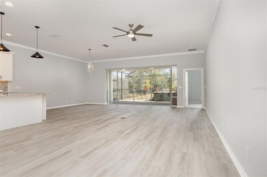 2017 Flora Pass Place, Kissimmee, FL 34747 - photo 6