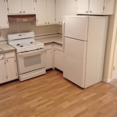 960 Shermer Rd unit 2, Glenview, IL 60025 - photo 6