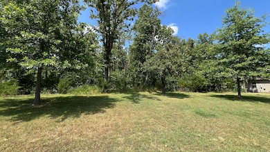 Lot 59 Fox Hollow Rd, Ruth C Township, MO 65737 - photo 2