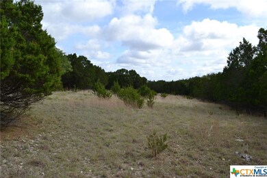 4.591 Acres Fushia Rd, Copperas Cove, TX 76522 - photo 3